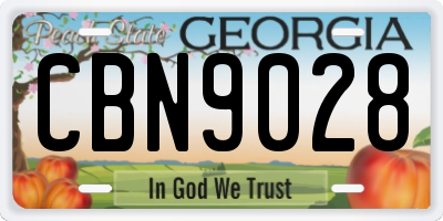 GA license plate CBN9028