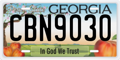 GA license plate CBN9030