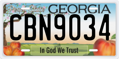 GA license plate CBN9034