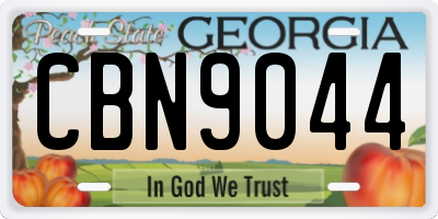 GA license plate CBN9044