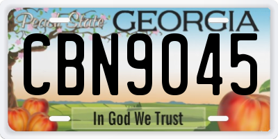 GA license plate CBN9045