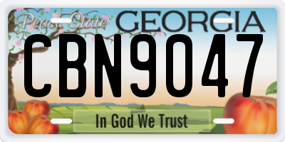 GA license plate CBN9047