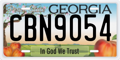 GA license plate CBN9054