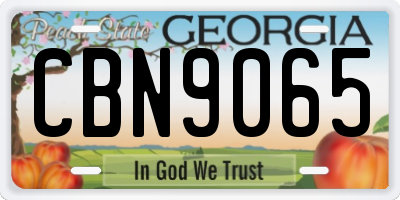 GA license plate CBN9065