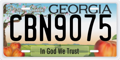 GA license plate CBN9075