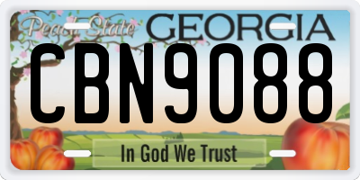 GA license plate CBN9088