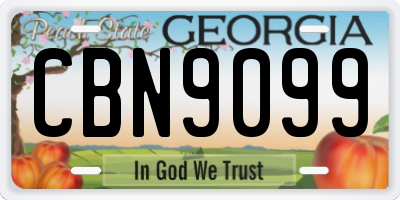 GA license plate CBN9099