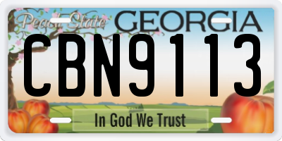 GA license plate CBN9113