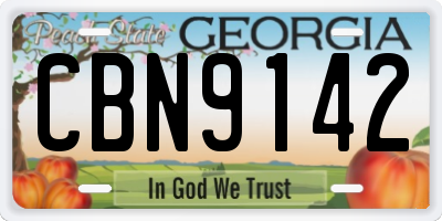 GA license plate CBN9142