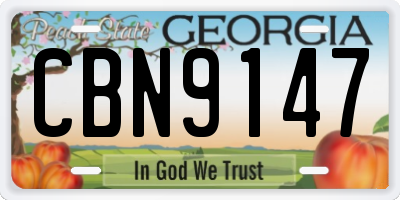 GA license plate CBN9147