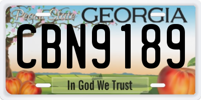 GA license plate CBN9189