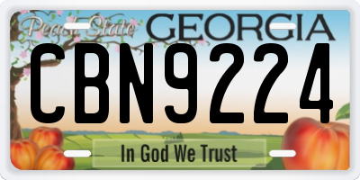 GA license plate CBN9224