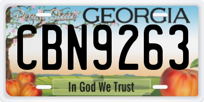 GA license plate CBN9263