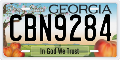 GA license plate CBN9284