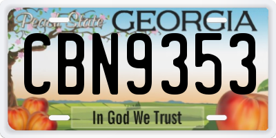 GA license plate CBN9353