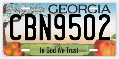 GA license plate CBN9502