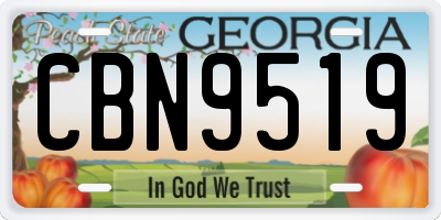 GA license plate CBN9519
