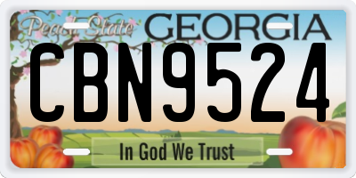 GA license plate CBN9524
