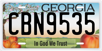 GA license plate CBN9535