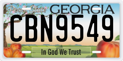 GA license plate CBN9549