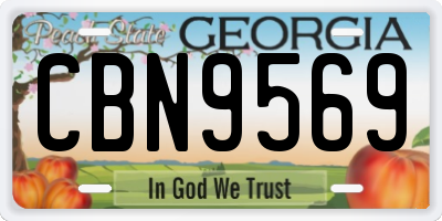 GA license plate CBN9569