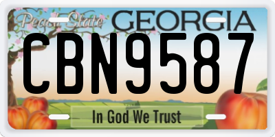 GA license plate CBN9587