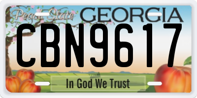 GA license plate CBN9617