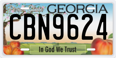 GA license plate CBN9624