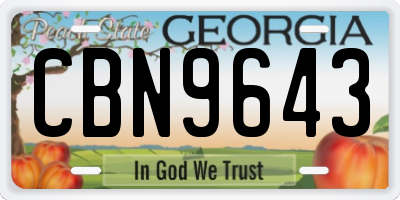 GA license plate CBN9643