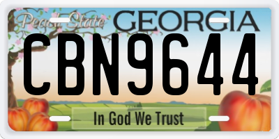 GA license plate CBN9644