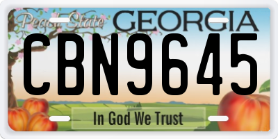GA license plate CBN9645