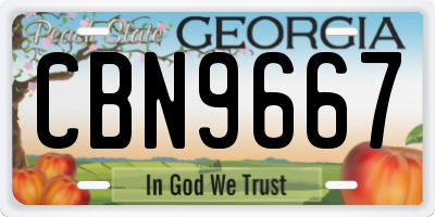 GA license plate CBN9667