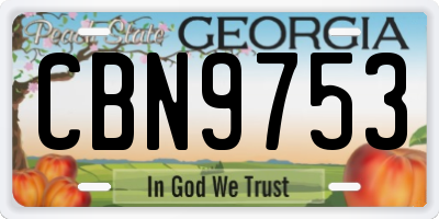 GA license plate CBN9753