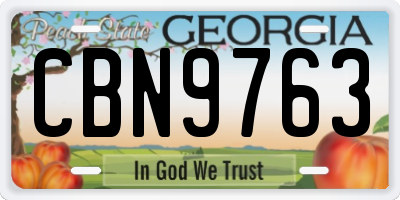 GA license plate CBN9763