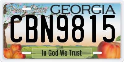 GA license plate CBN9815