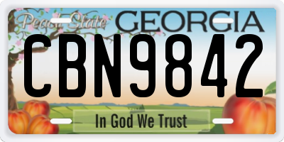 GA license plate CBN9842