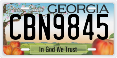 GA license plate CBN9845