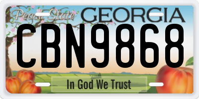 GA license plate CBN9868