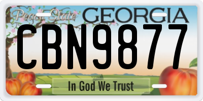 GA license plate CBN9877
