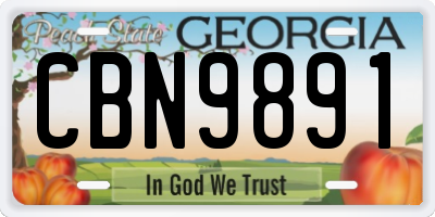 GA license plate CBN9891