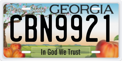 GA license plate CBN9921