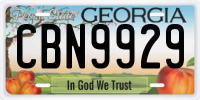 GA license plate CBN9929
