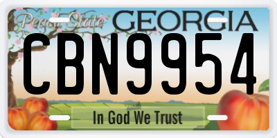 GA license plate CBN9954
