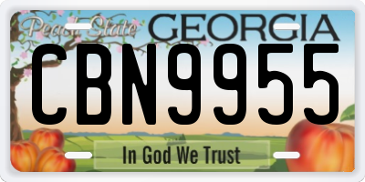 GA license plate CBN9955