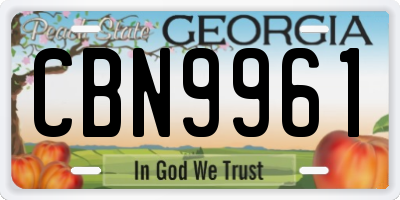 GA license plate CBN9961