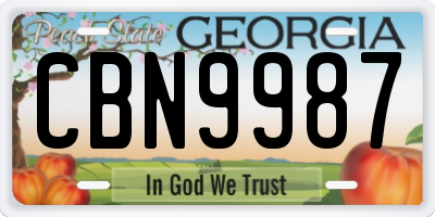 GA license plate CBN9987