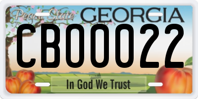 GA license plate CBO0022