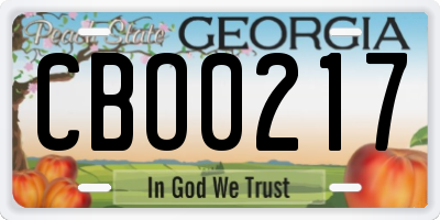 GA license plate CBO0217