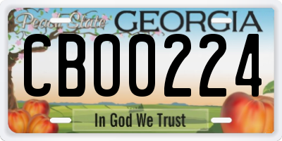 GA license plate CBO0224