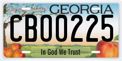 GA license plate CBO0225